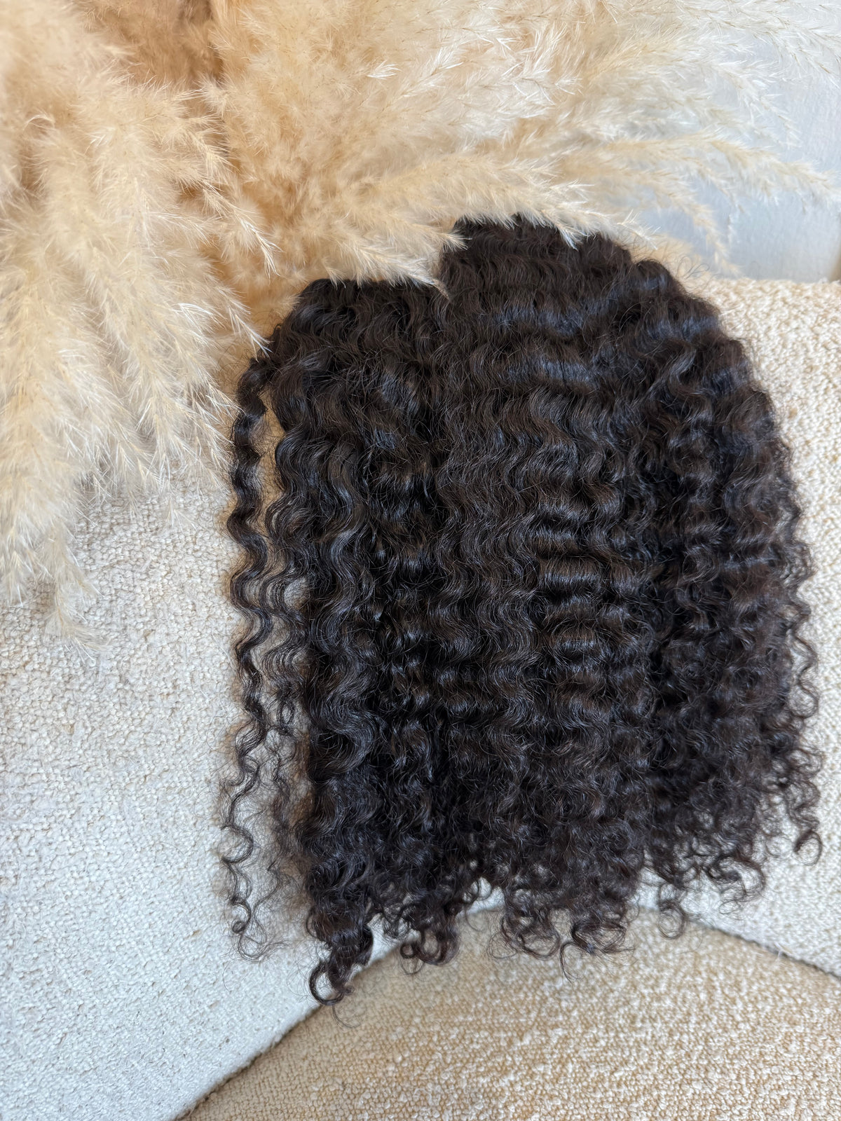 Raw Burmese Curly