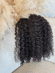 Raw Burmese Curly